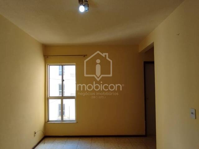 Locação em Primavera - Vitória da Conquista