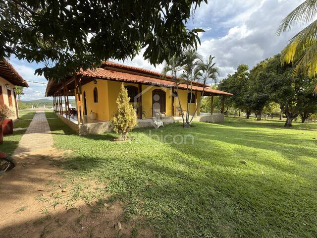 #SI0001 - Sítio para Venda em Anagé - BA - 3