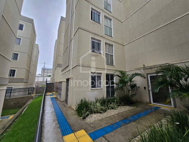 Apartamento para Locação em Vitória da Conquista - 3