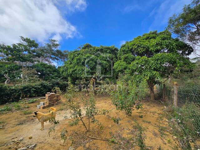 Terreno para Venda em Vitória da Conquista - 5